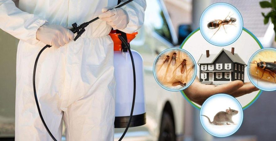 Doğanhisar Böcek İlaçlama