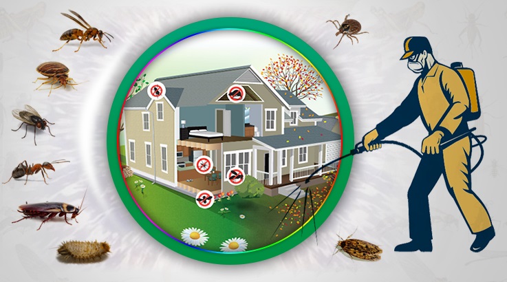 Doğanhisar Böcek İlaçlama