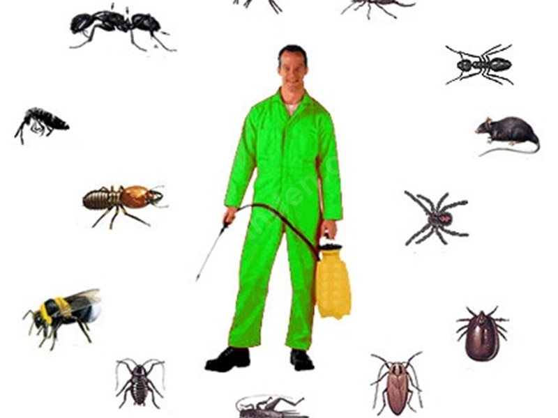 Doğanhisar Böcek İlaçlama